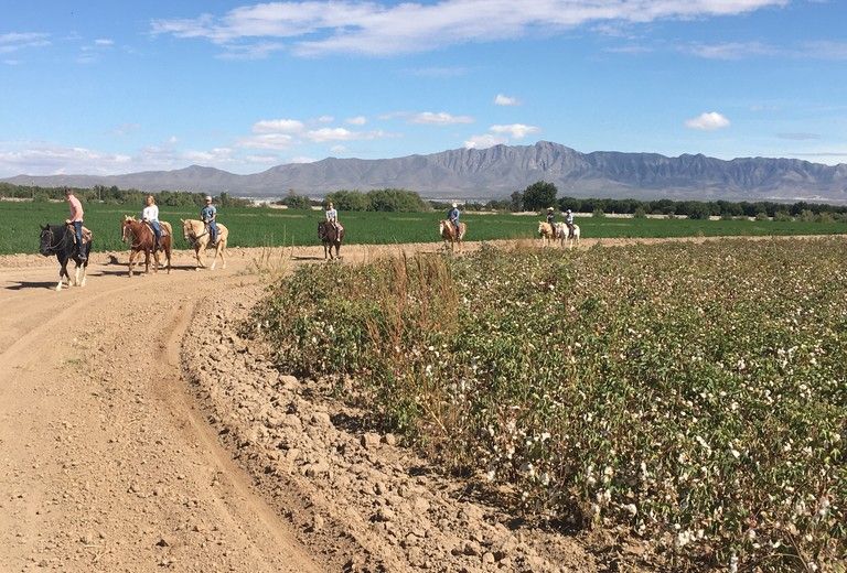 Horseback Riding and Tours